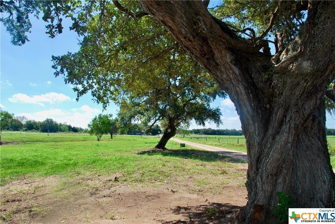 3.17 acres in Lavaca County - photo 19