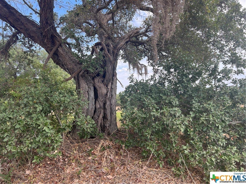 3.17 acres in Lavaca County - photo 20