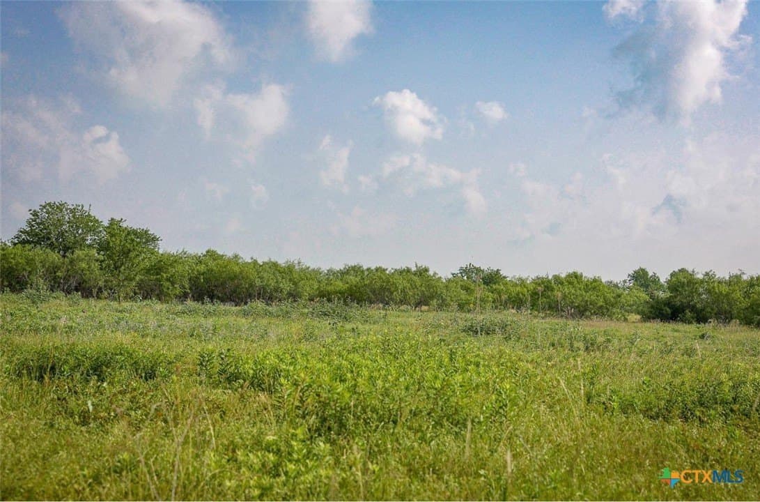 1.02 acres in Milam County gallery image 3