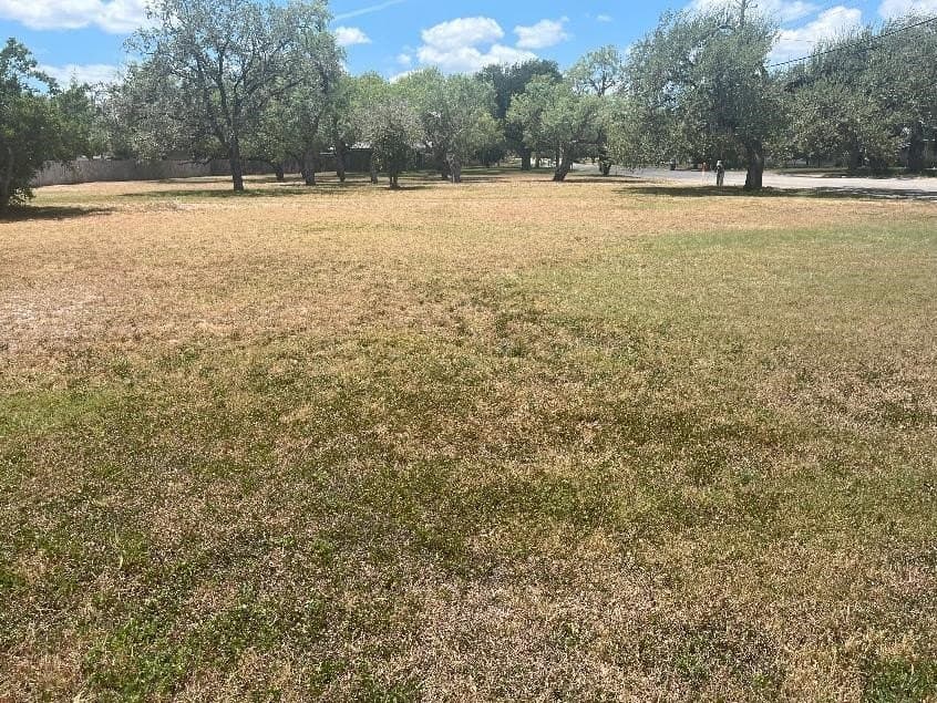 0.41 acres in Live Oak County