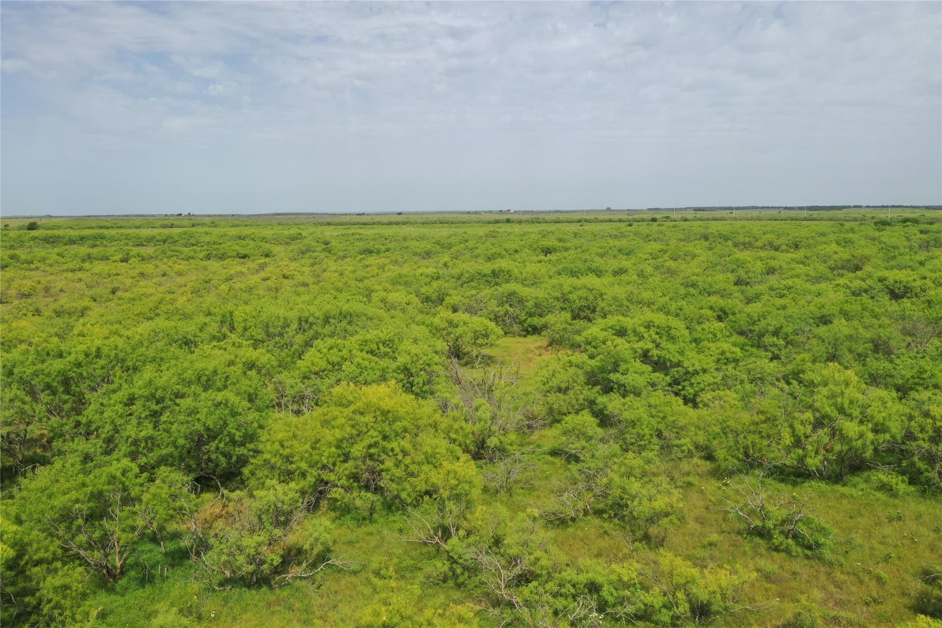 190.87 acres in Clay County featured view