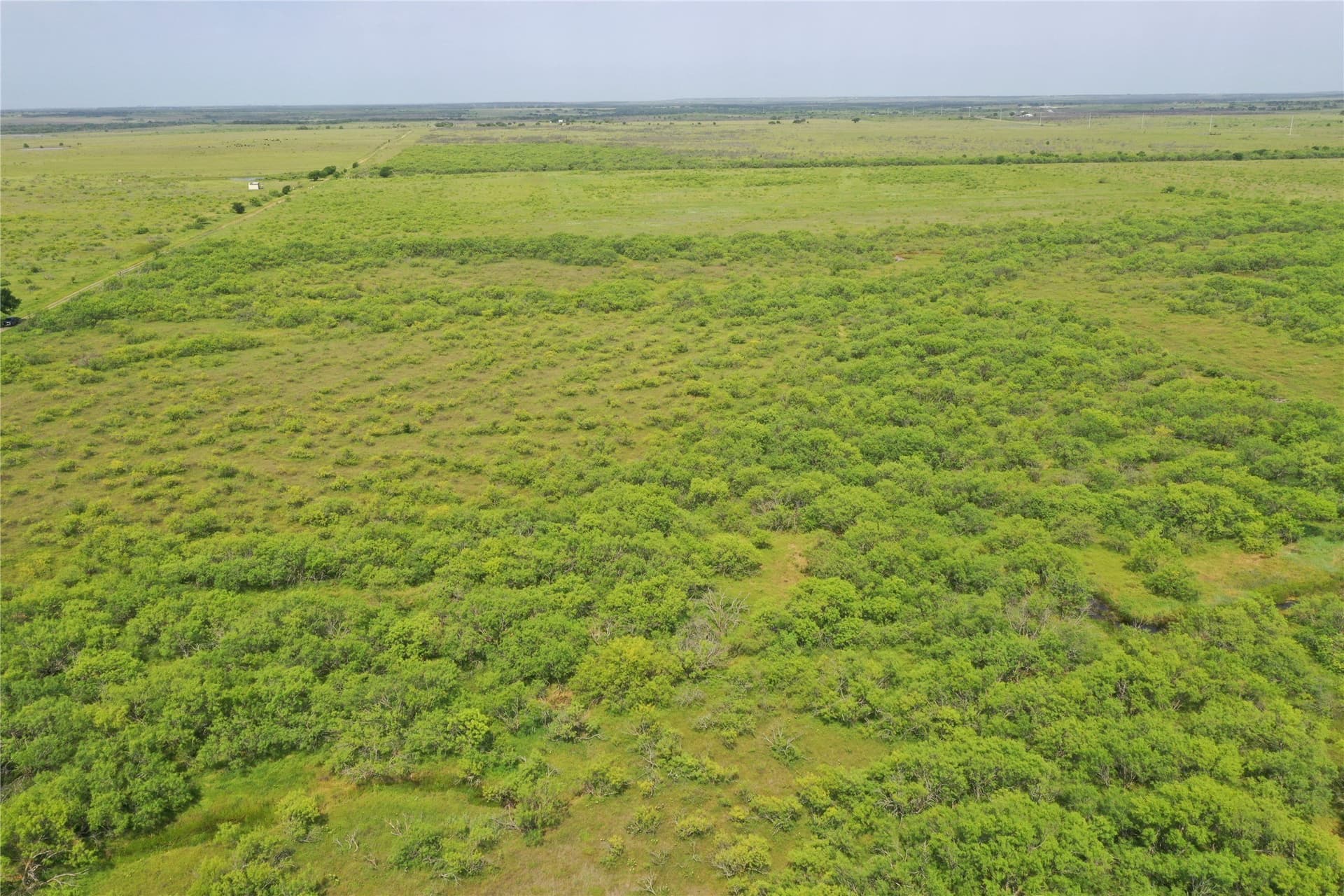 190.87 acres in Clay County gallery image 4