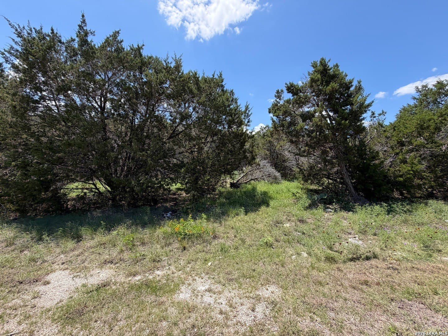 0.23 acres in Comal County gallery image 4
