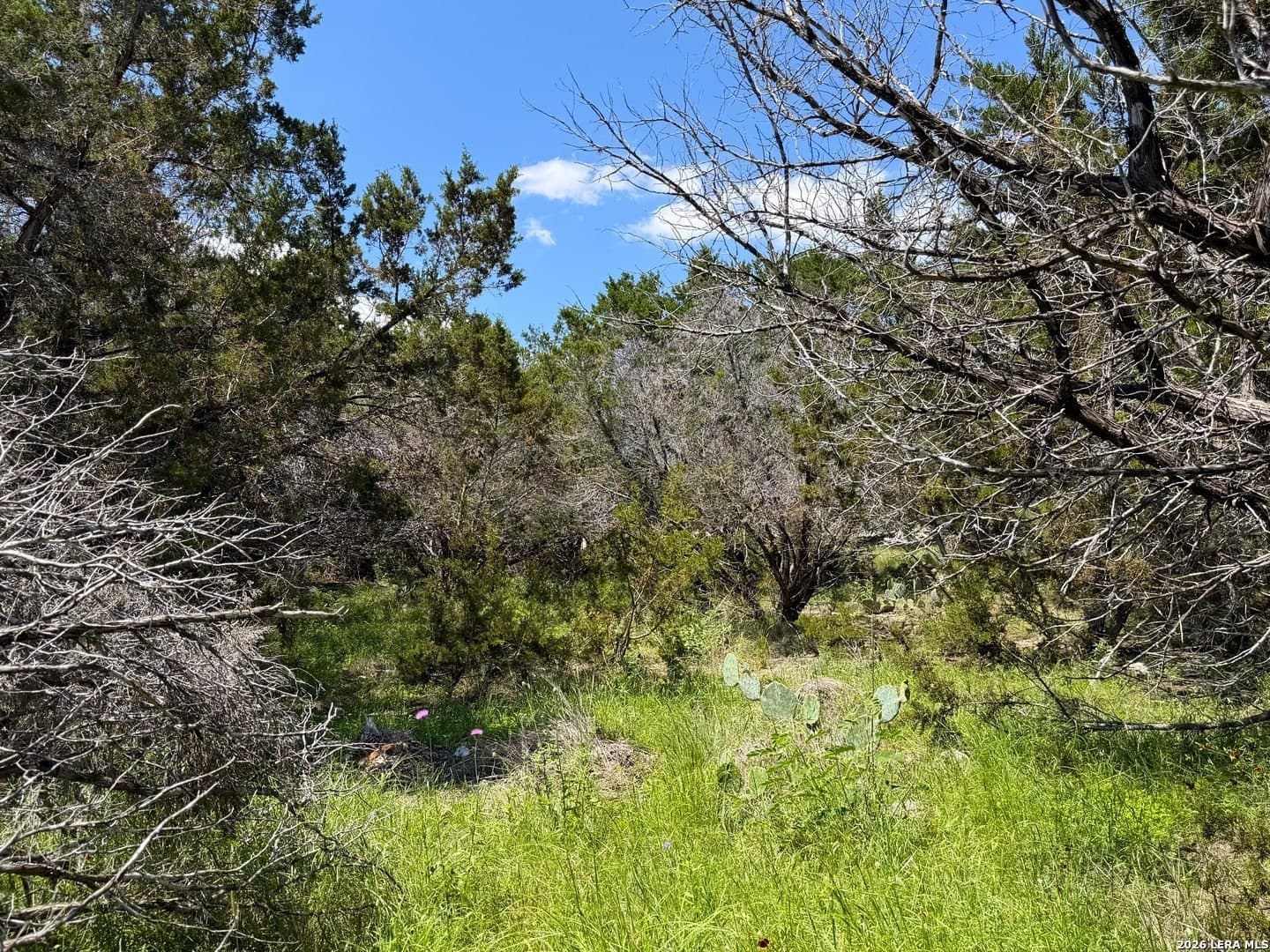 0.23 acres in Comal County - photo 13