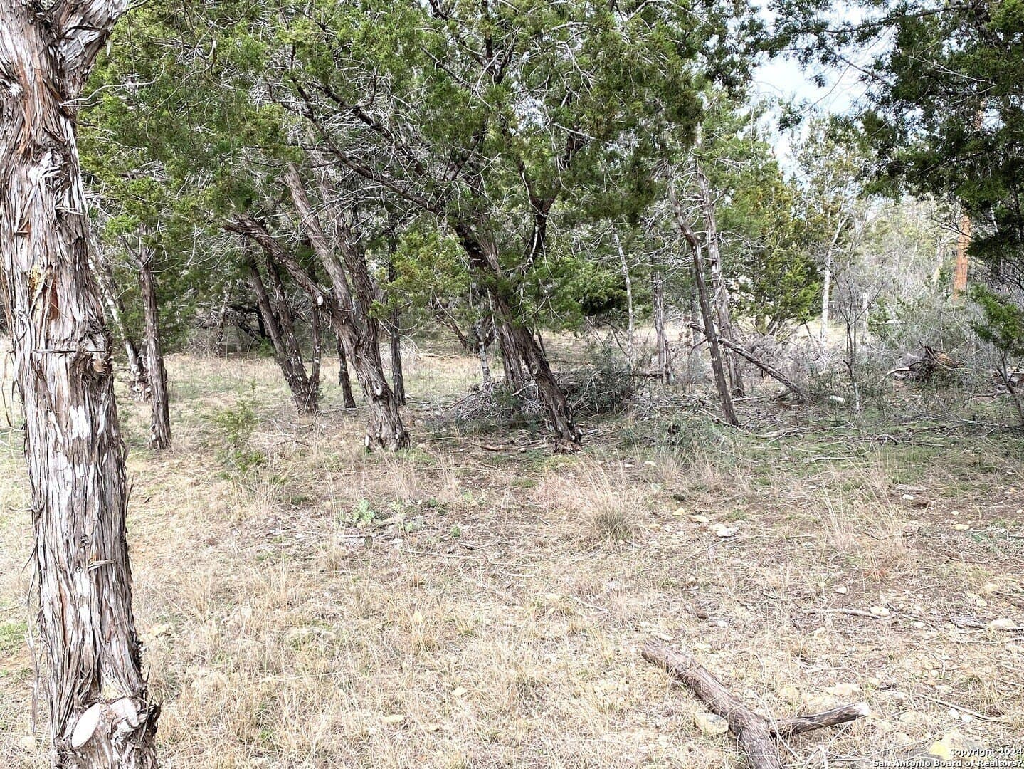 2.47 acres in Bandera County - photo 8
