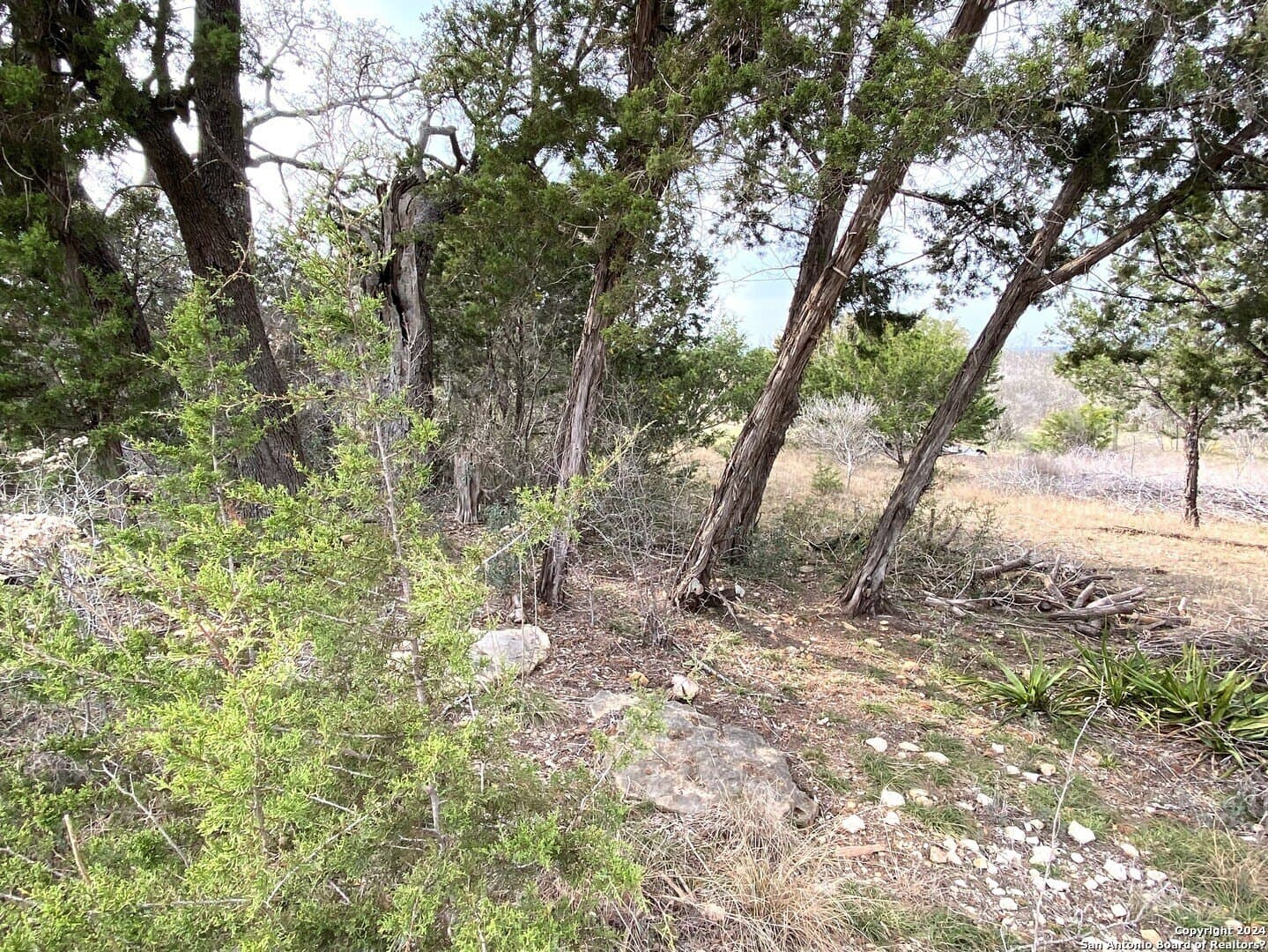 2.47 acres in Bandera County gallery image 4