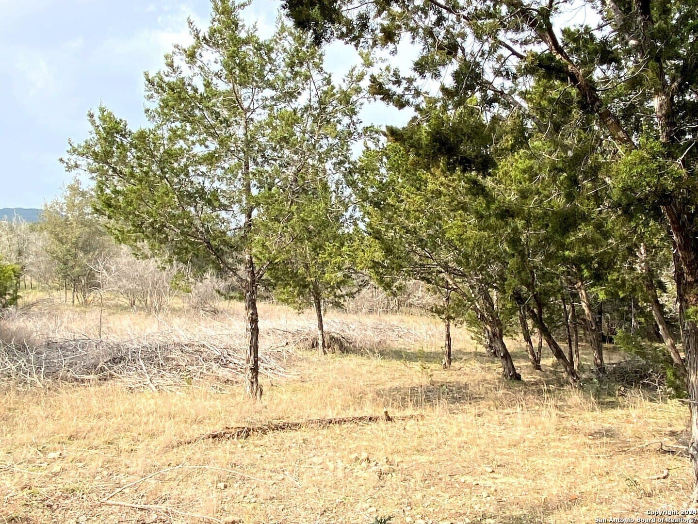 2.47 acres in Bandera County - photo 6