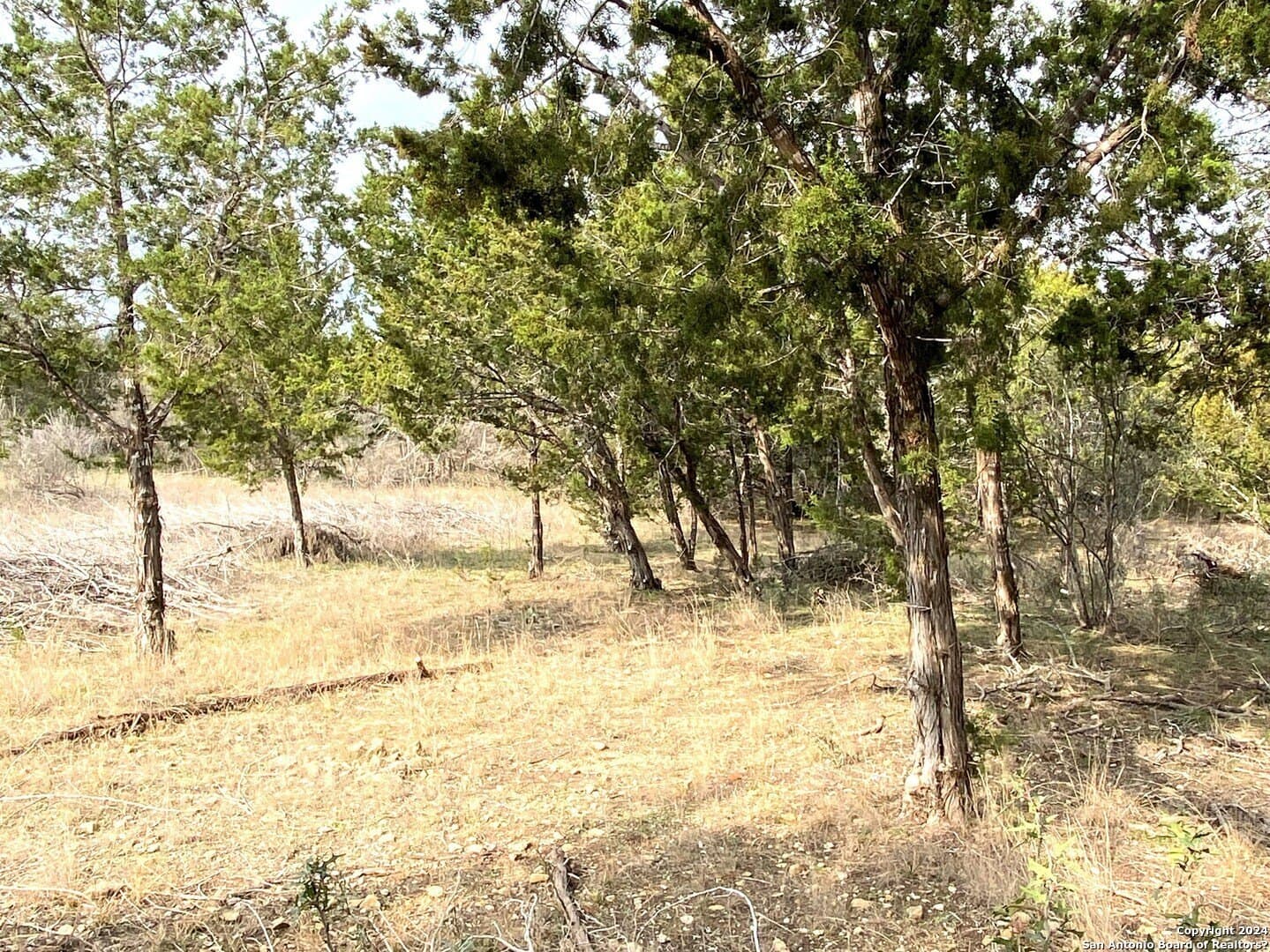 2.47 acres in Bandera County - photo 7