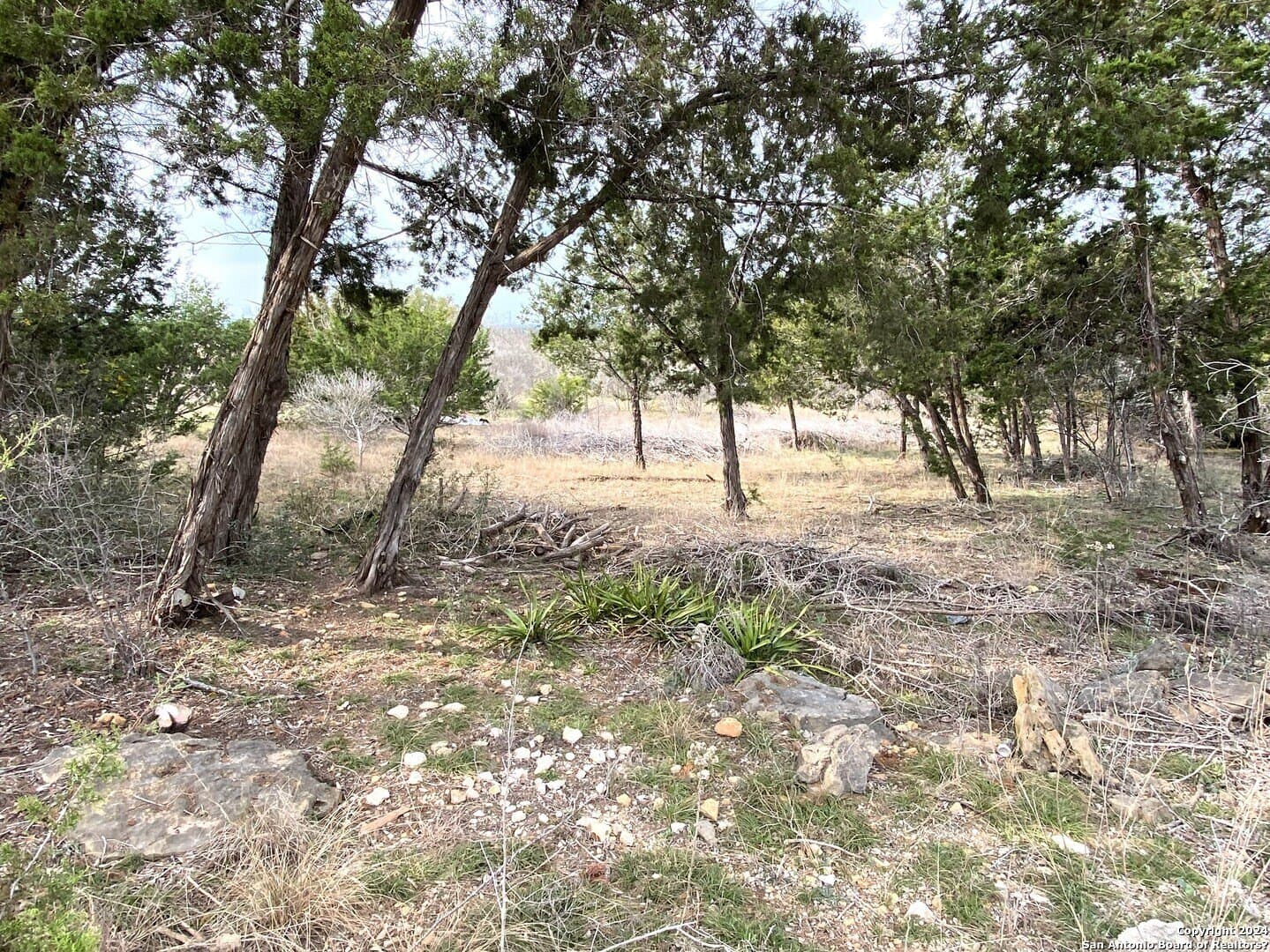2.47 acres in Bandera County gallery image 3