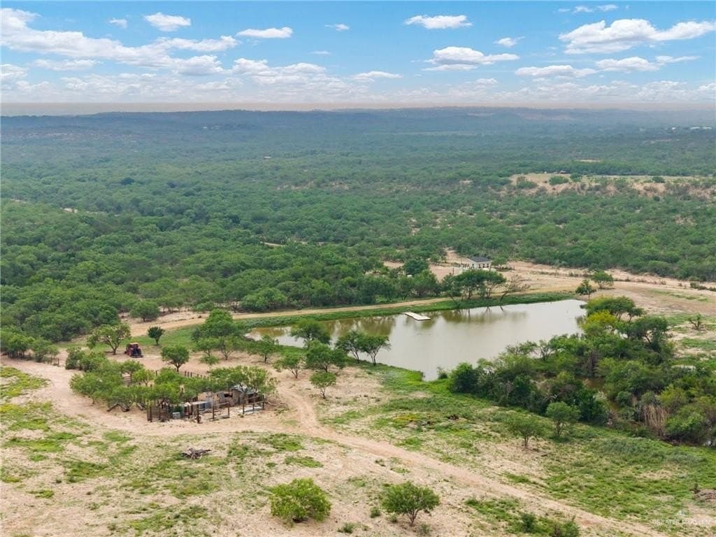 185.04 acres in Starr County - photo 16