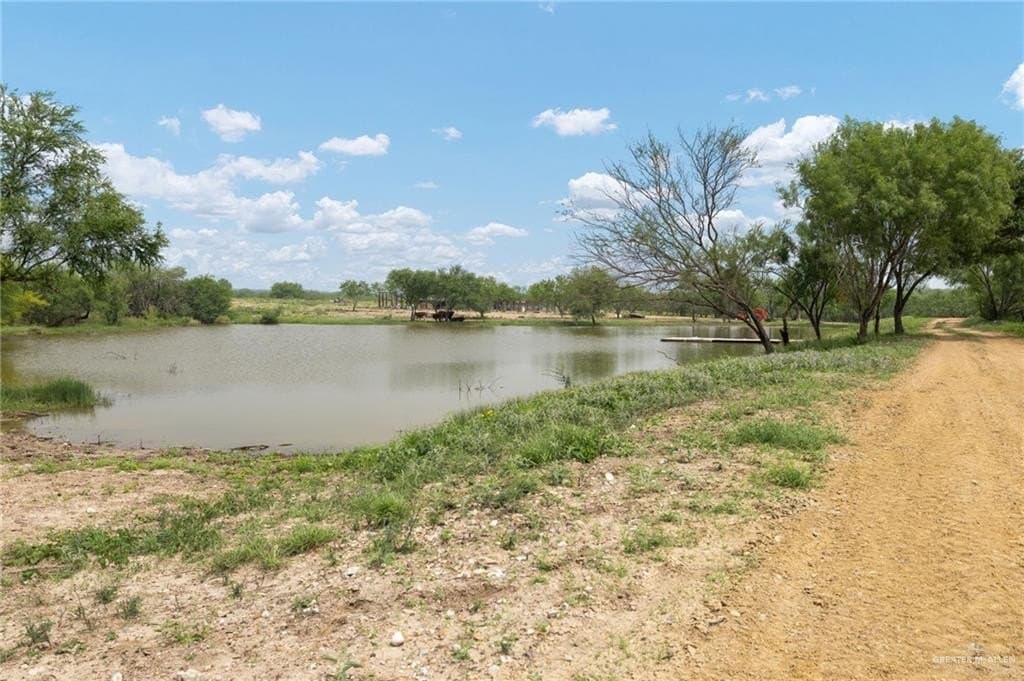 185.04 acres in Starr County - photo 19