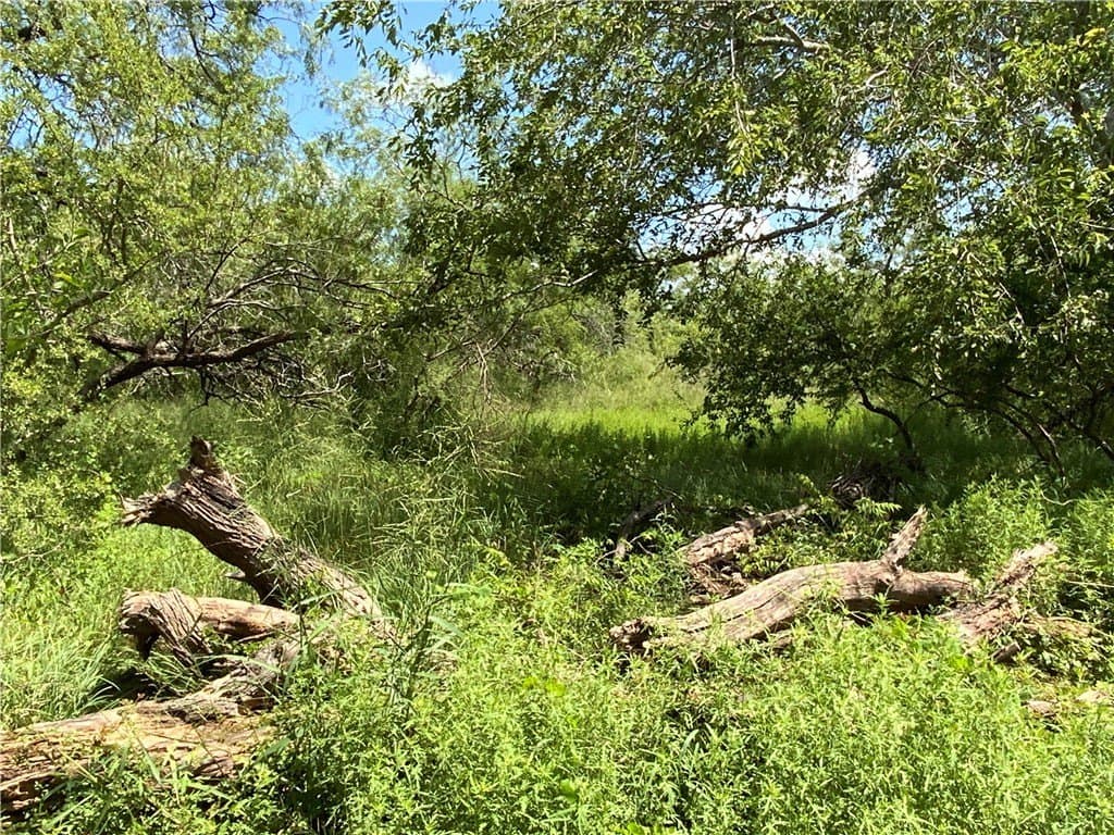 10.5 acres in San Patricio County