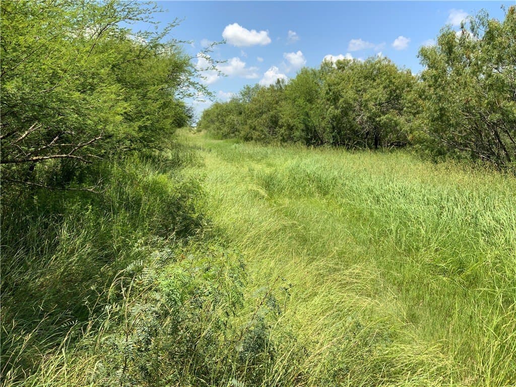 10.5 acres in San Patricio County featured view