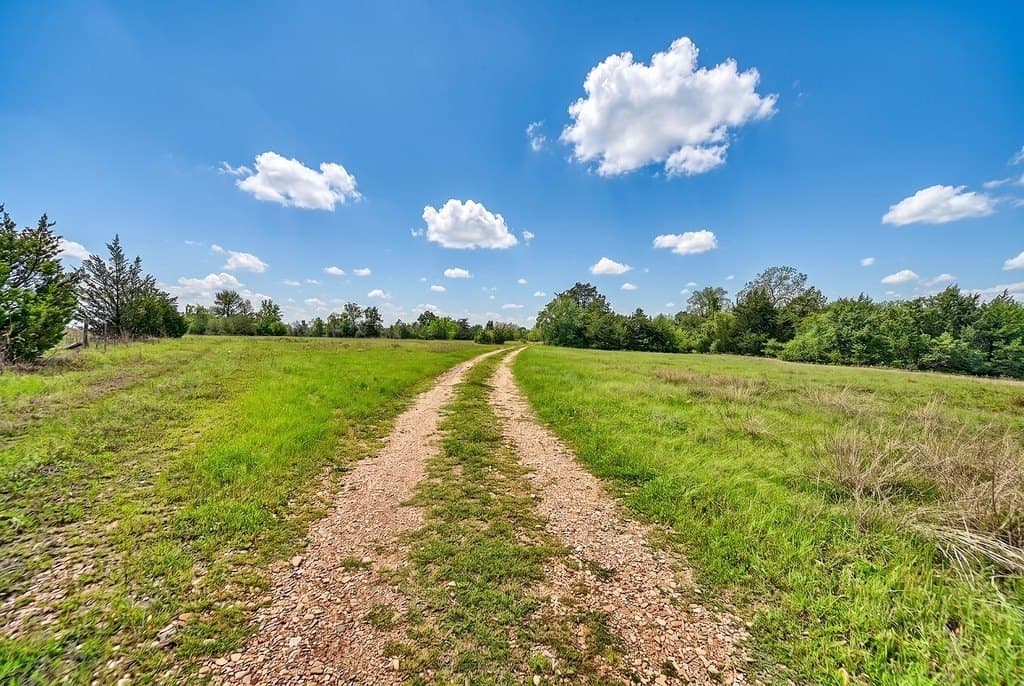 38.07 acres in Austin County - photo 6