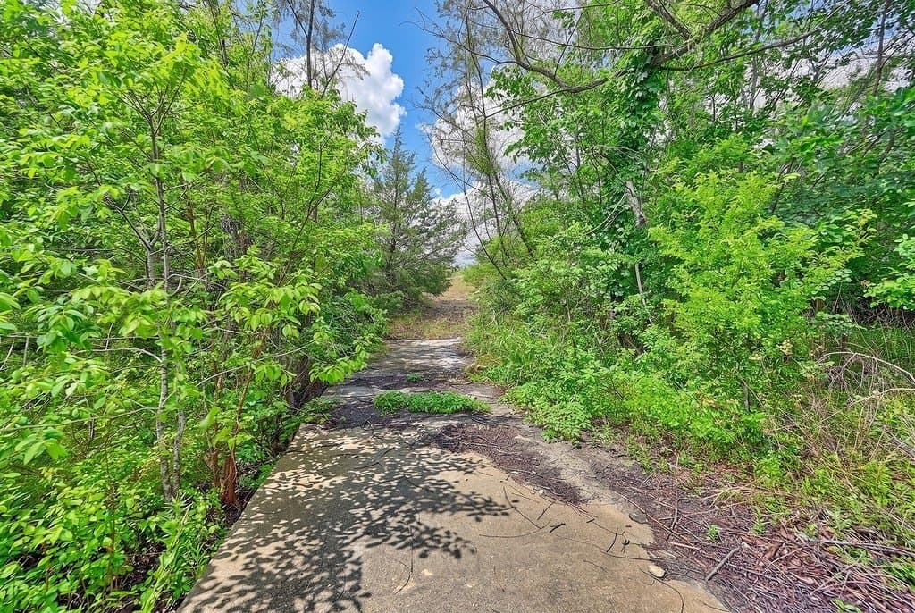38.07 acres in Austin County - photo 17