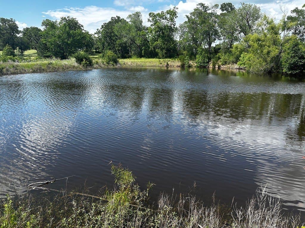 38.07 acres in Austin County - photo 14