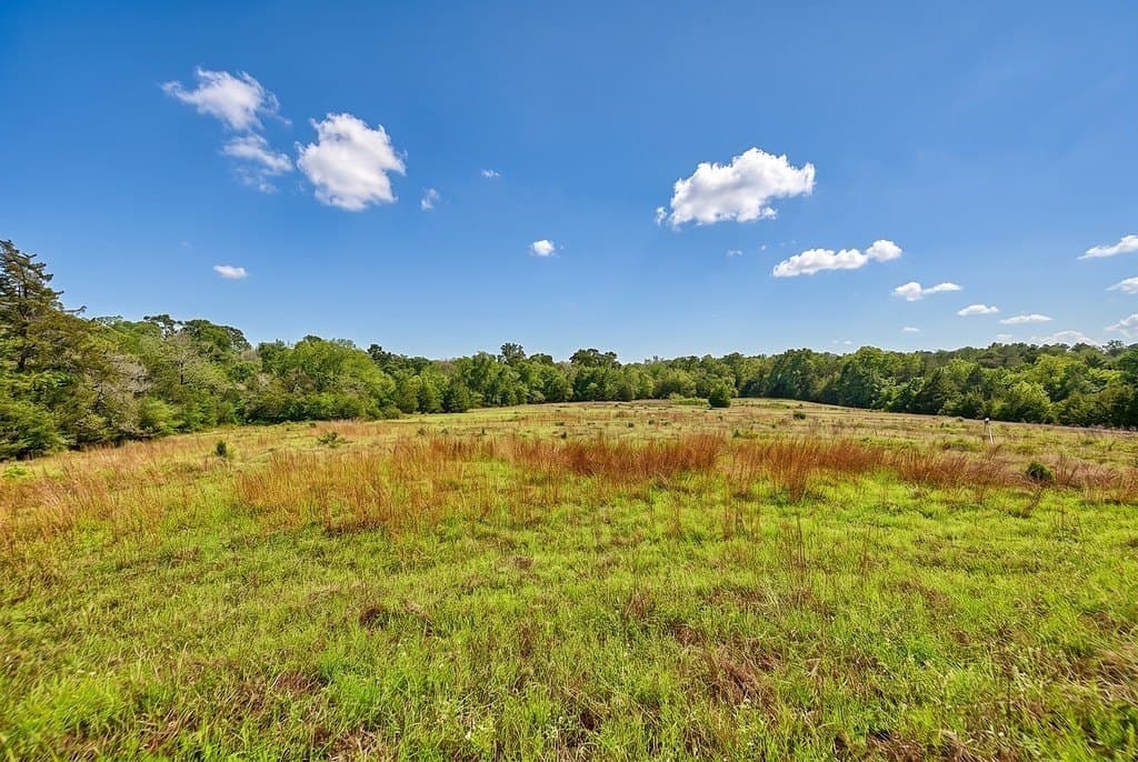 38.07 acres in Austin County - photo 15