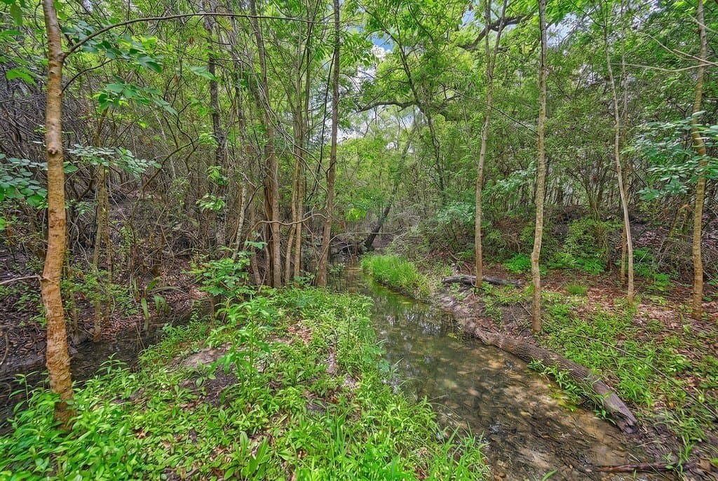 38.07 acres in Austin County - photo 16