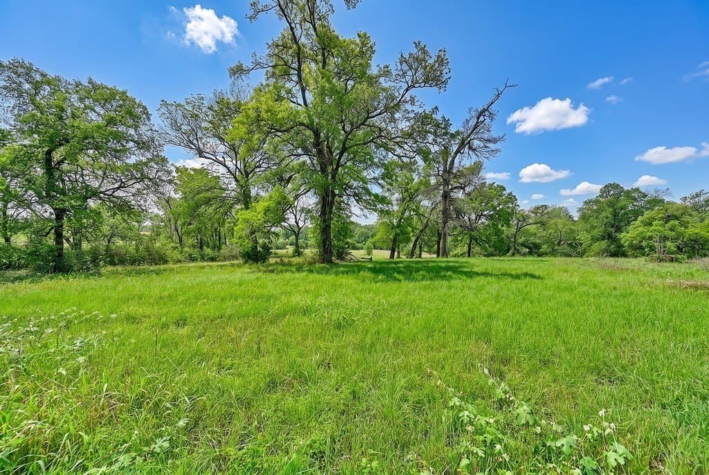 38.07 acres in Austin County - photo 7