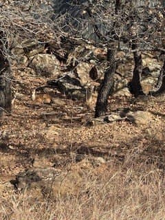 0.52 acres in Montague County - photo 4