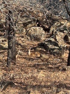0.52 acres in Montague County - photo 2