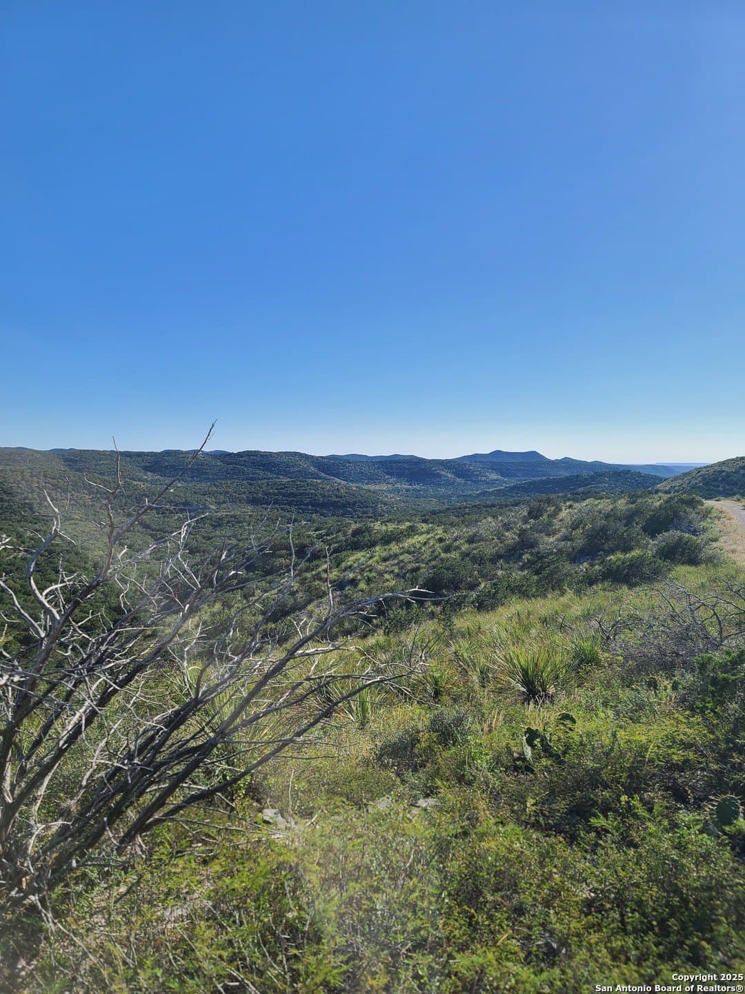 14.01 acres in Uvalde County gallery image 3