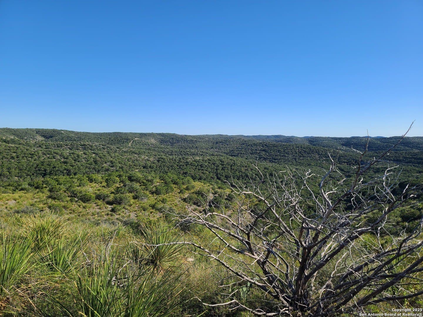 14.01 acres in Uvalde County featured view