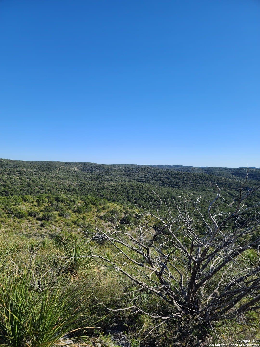 14.01 acres in Uvalde County gallery image 2