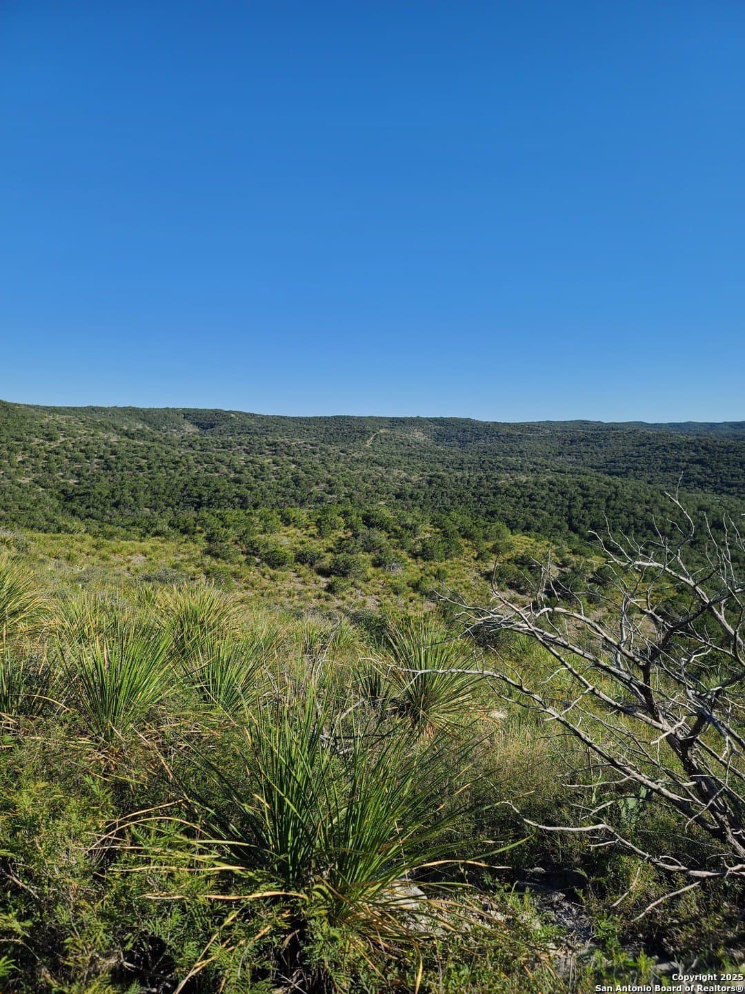 14.01 acres in Uvalde County gallery image 4