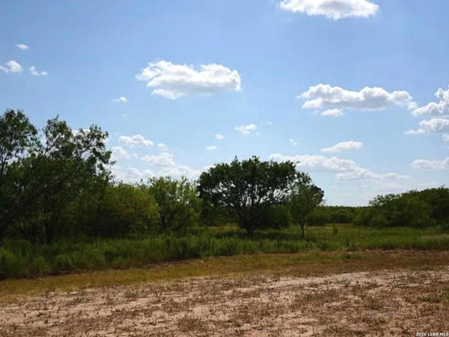 1.19 acres in Wilson County gallery image 3