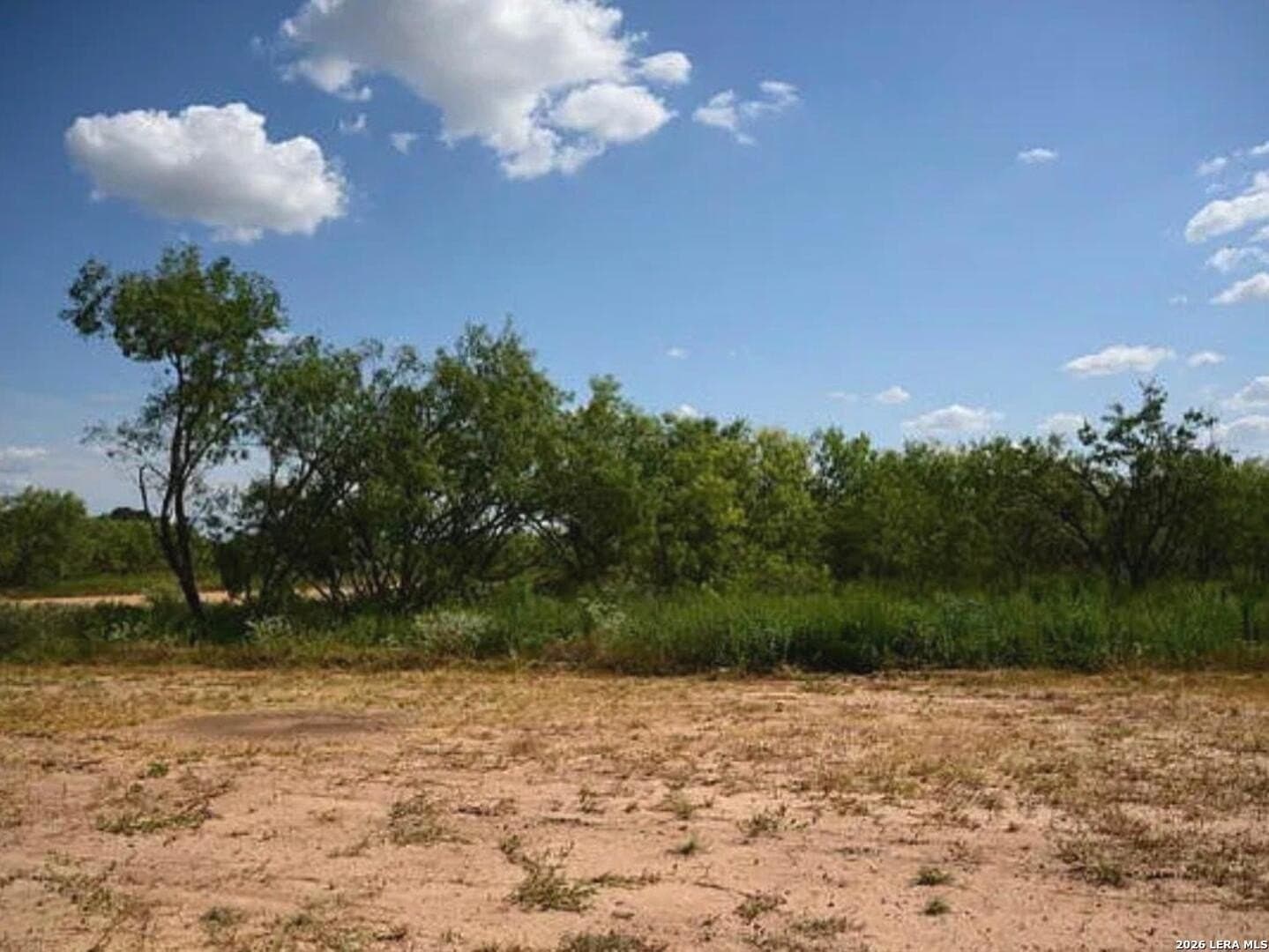 1.19 acres in Wilson County gallery image 2