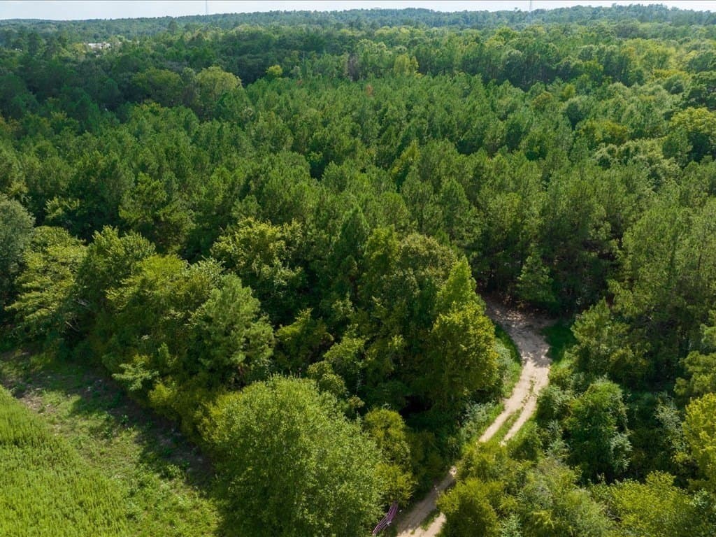 34.84 acres in Texas County - photo 9