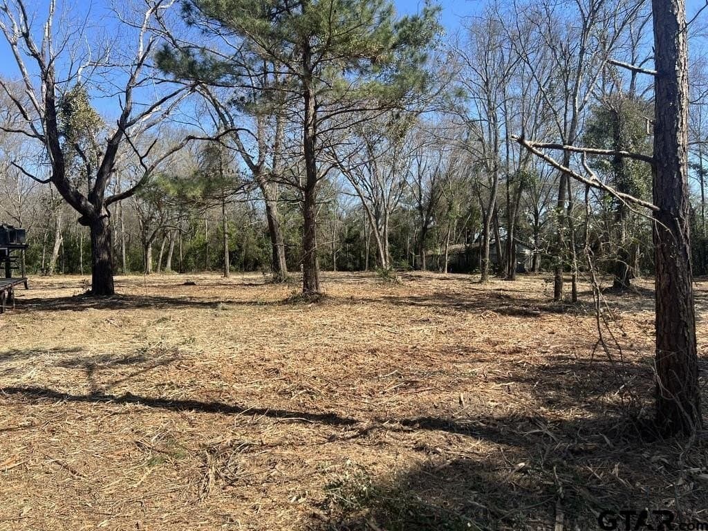 73.44 acres in Smith County - photo 19