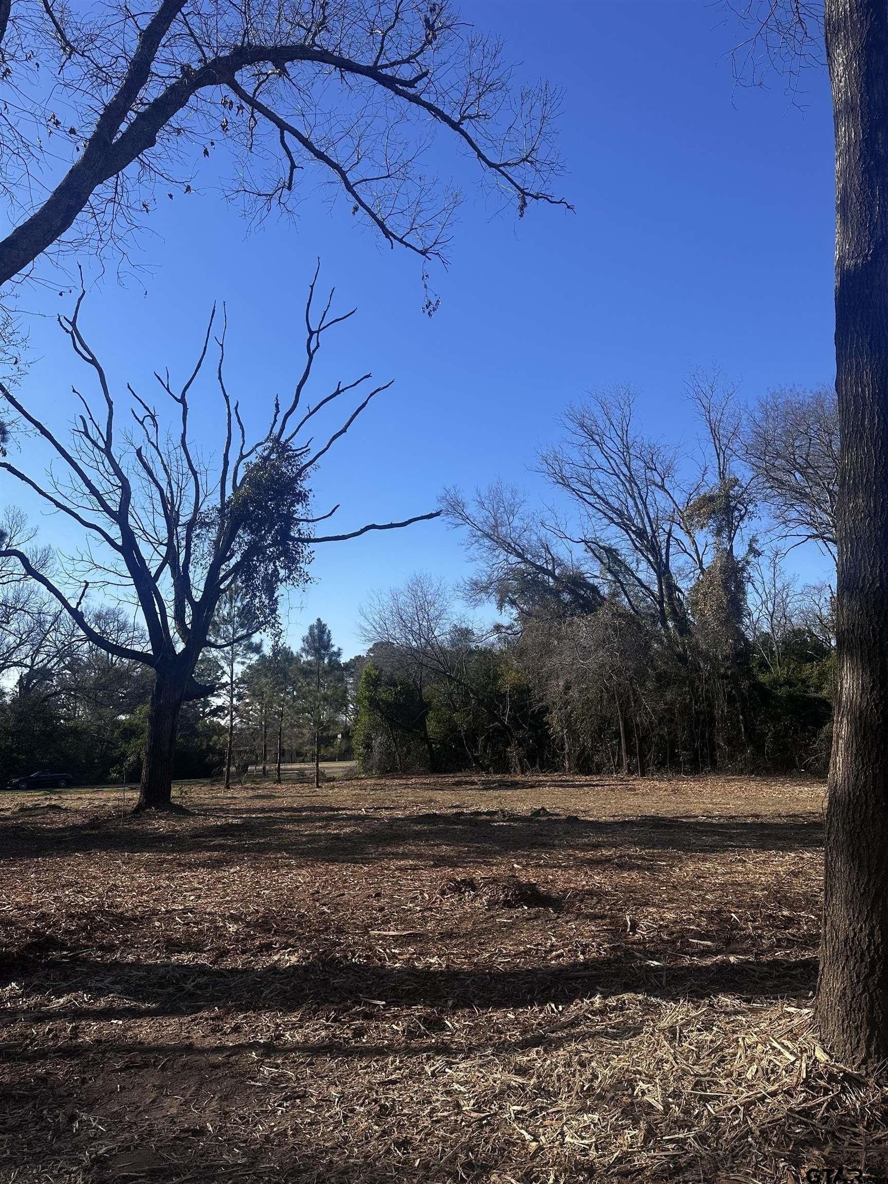 73.44 acres in Smith County - photo 9