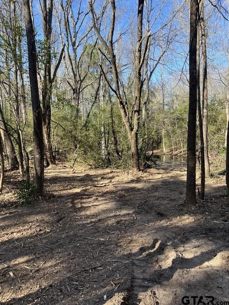 73.44 acres in Smith County - photo 20
