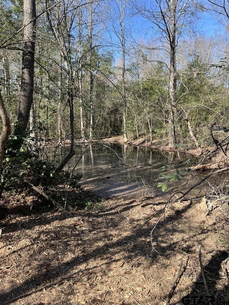 73.44 acres in Smith County - photo 6