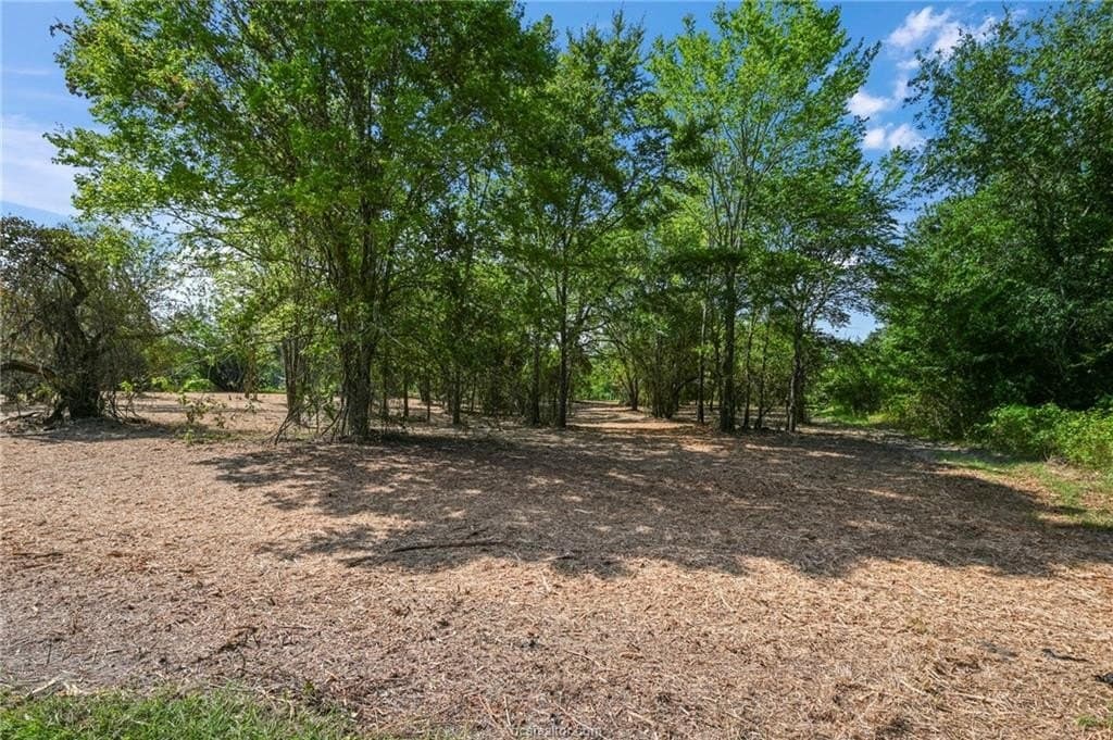 1.14 acres in Brazos County - photo 7