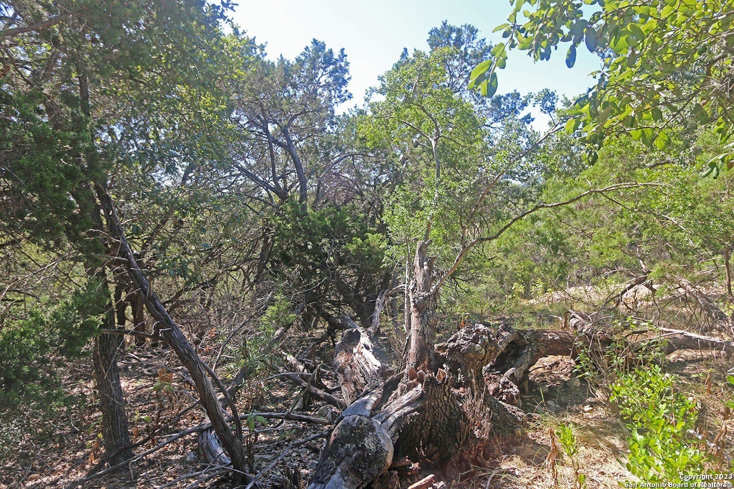 0.27 acres in Comal County - photo 6