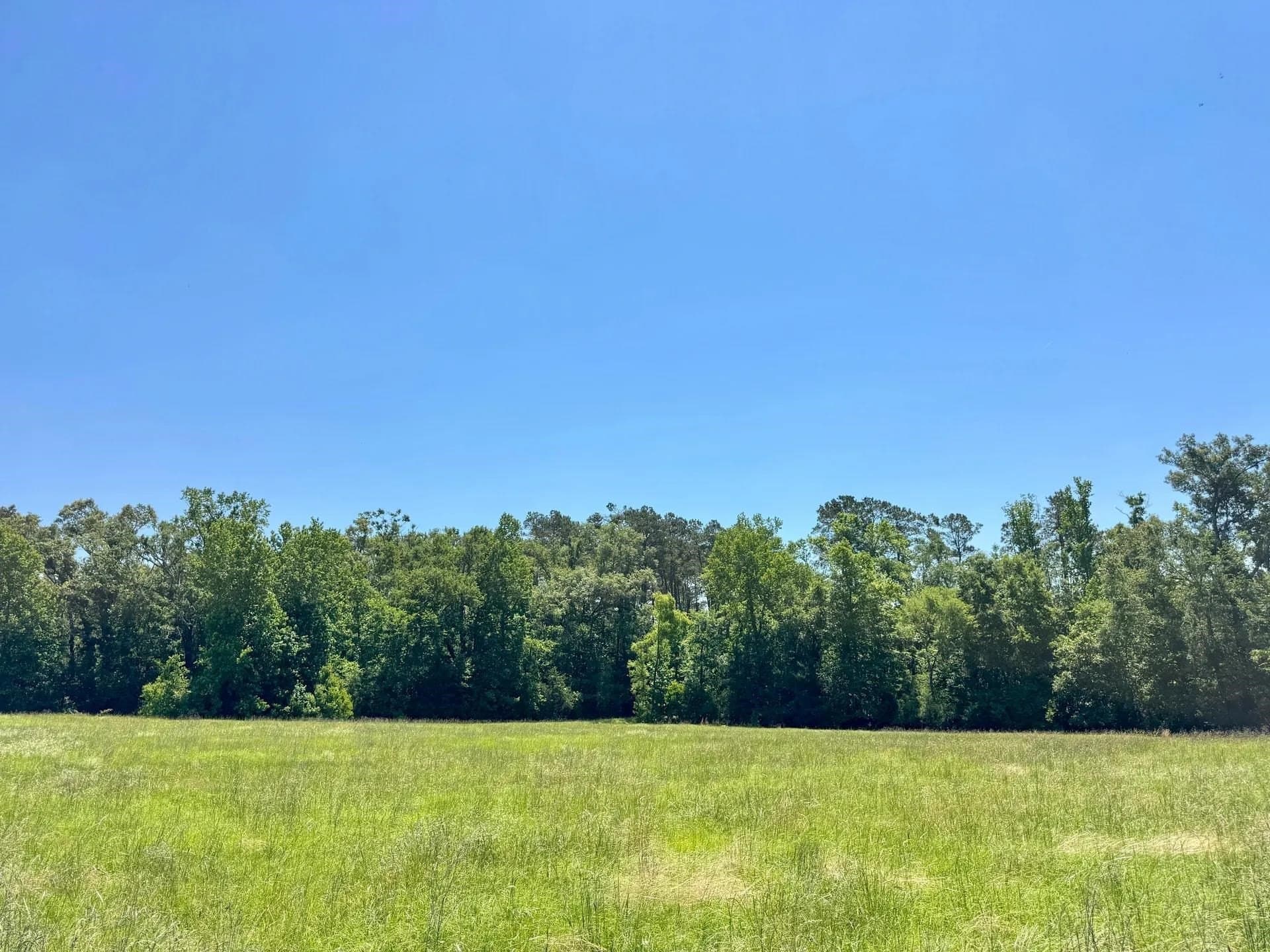 75.5 acres in Panola County - photo 9