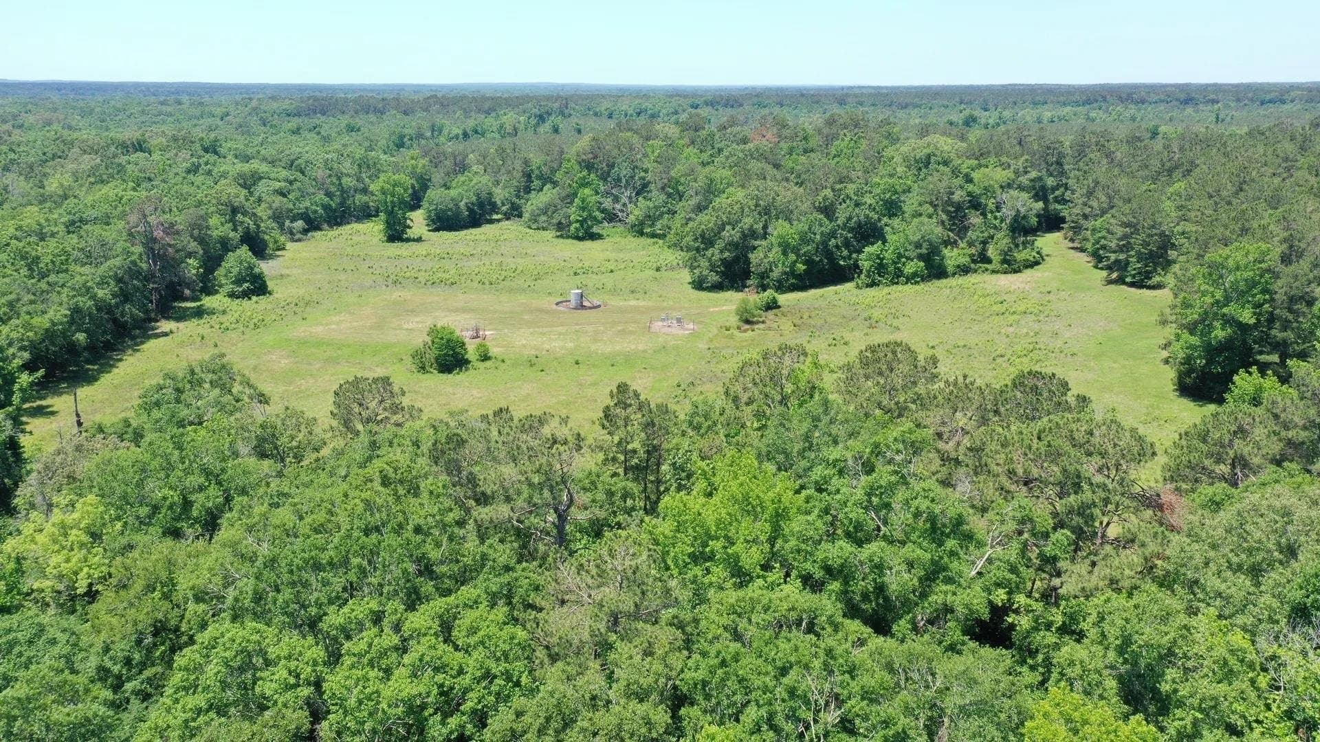 75.5 acres in Panola County gallery image 4