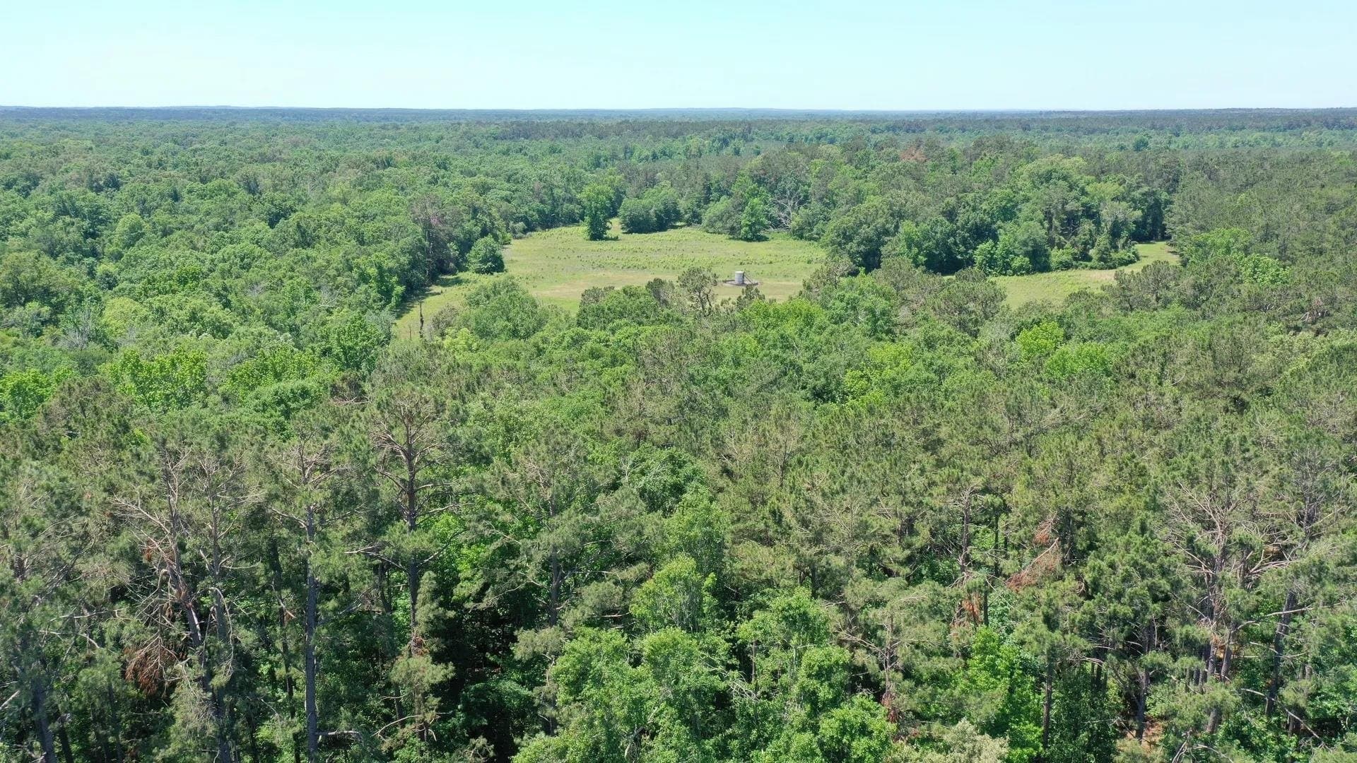 75.5 acres in Panola County gallery image 3