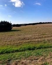 1.13 acres in Johnson County - photo 3
