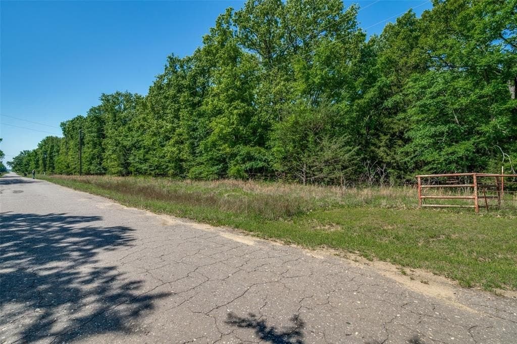 15.95 acres in Rains County gallery image 3