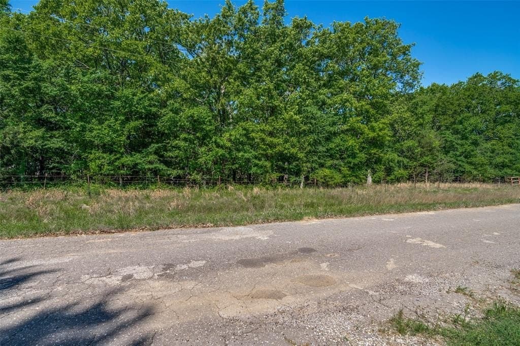 15.95 acres in Rains County featured view