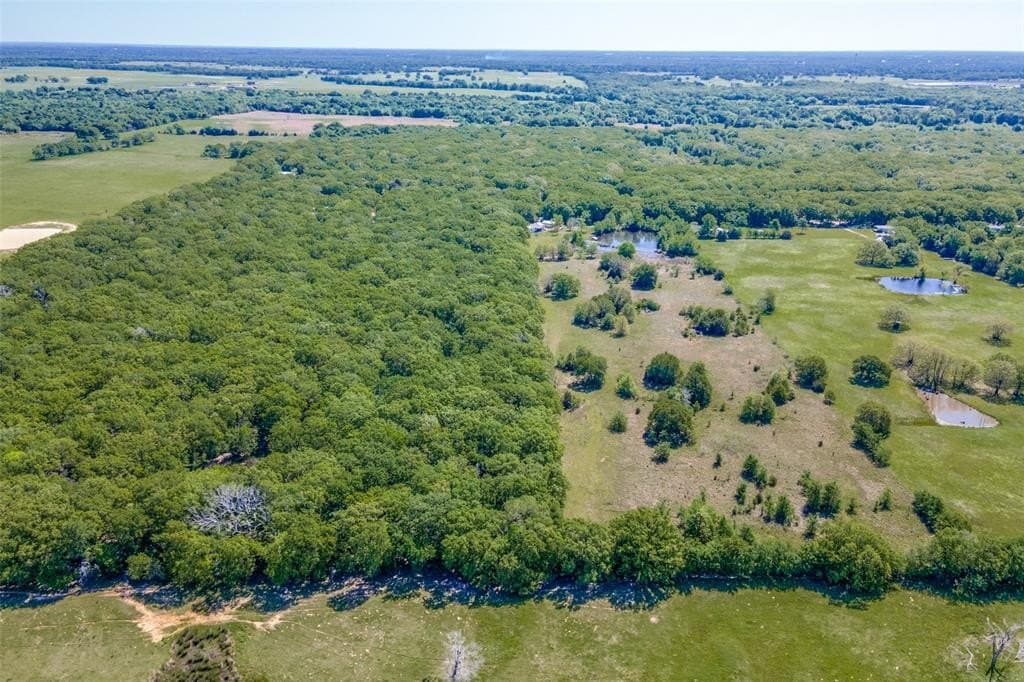 15.95 acres in Rains County gallery image 2