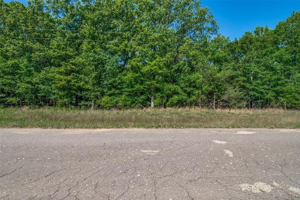 15.95 acres in Rains County gallery image 4