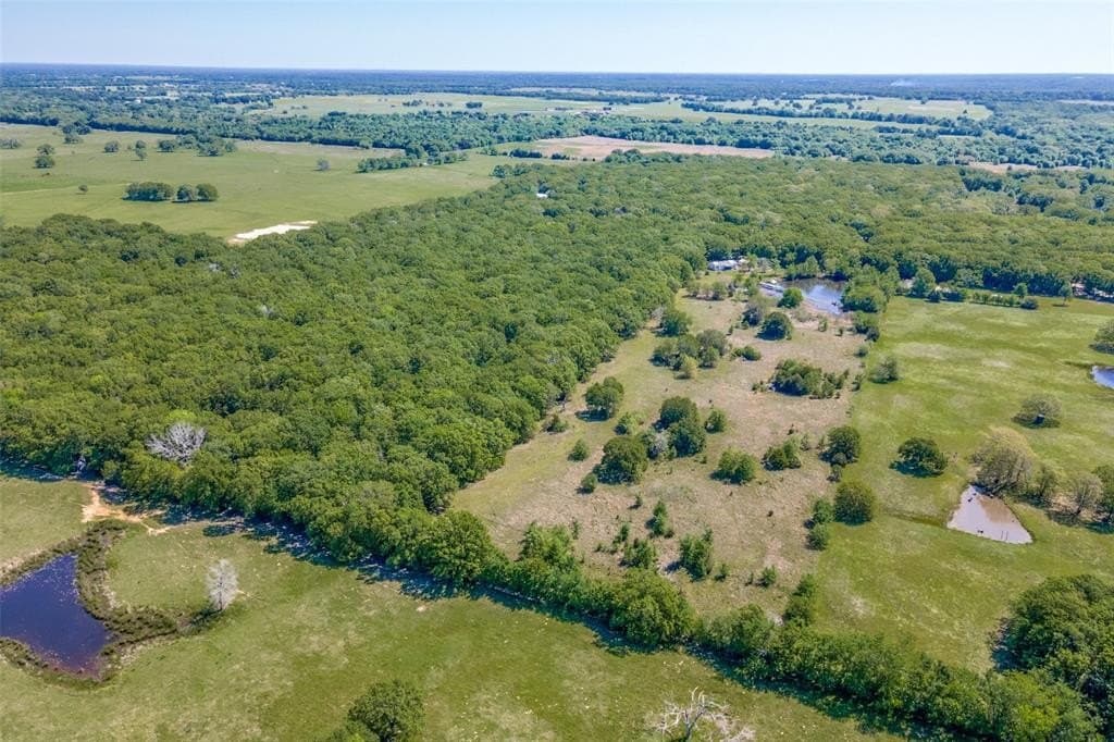 15.95 acres in Rains County