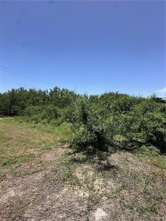 10.77 acres in Hidalgo County - photo 17