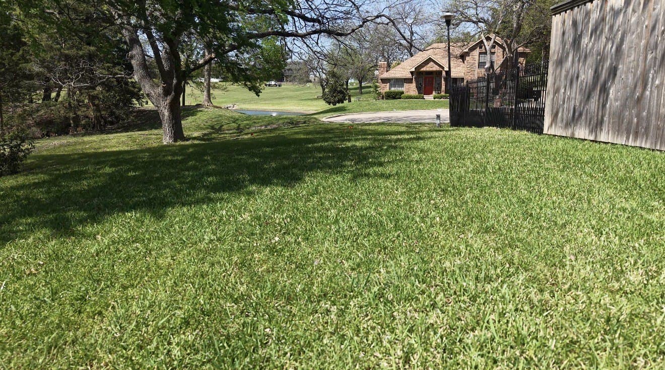0.25 acres in Rockwall County gallery image 2