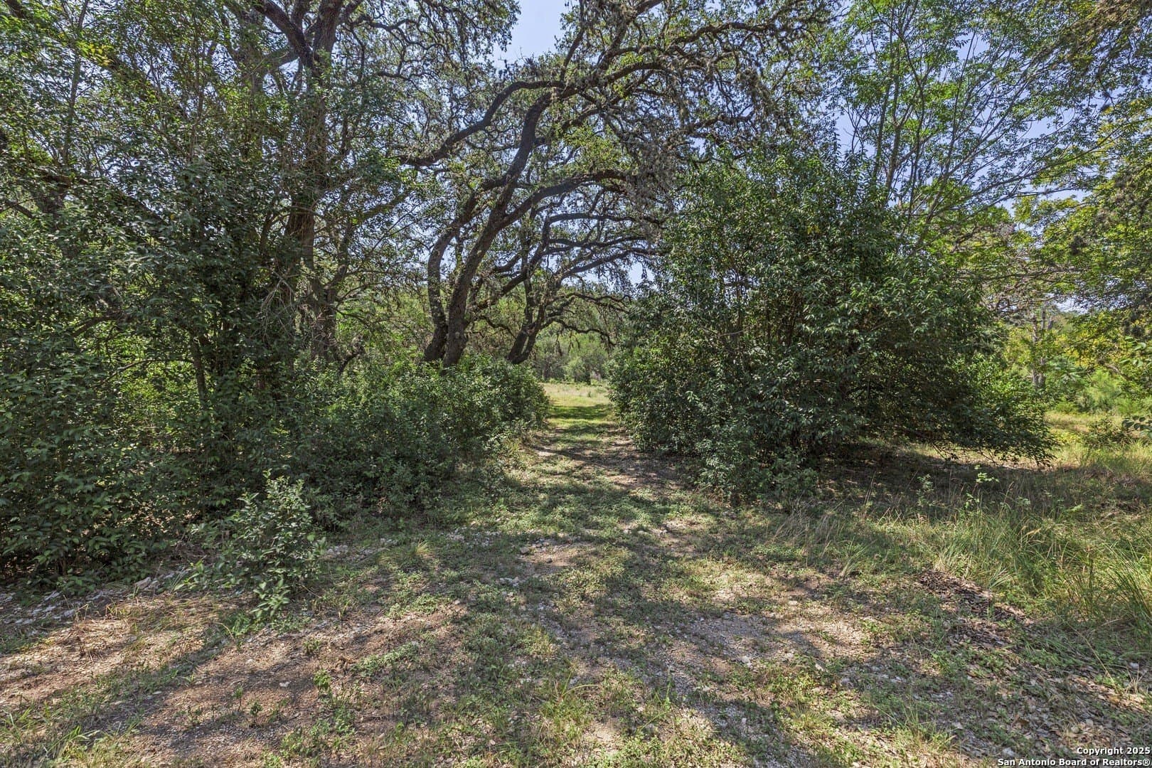 17.6 acres in Bexar County - photo 8
